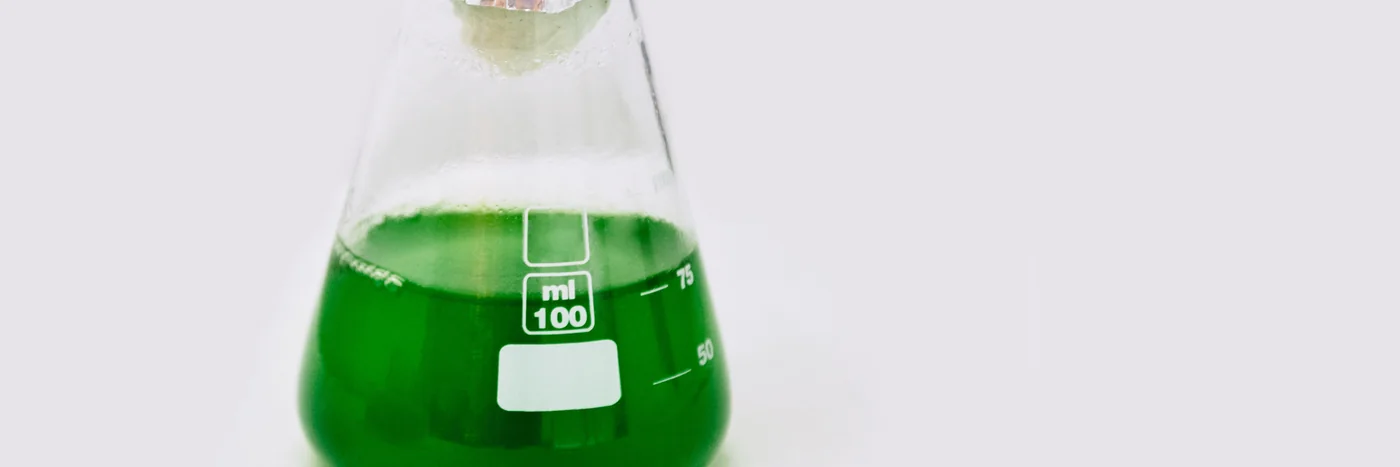 A laboratory flask holding a bright green microalgae culture on a pale grey surface.